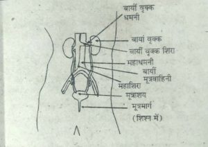 Class 10th Science Solved Question Paper 2021.