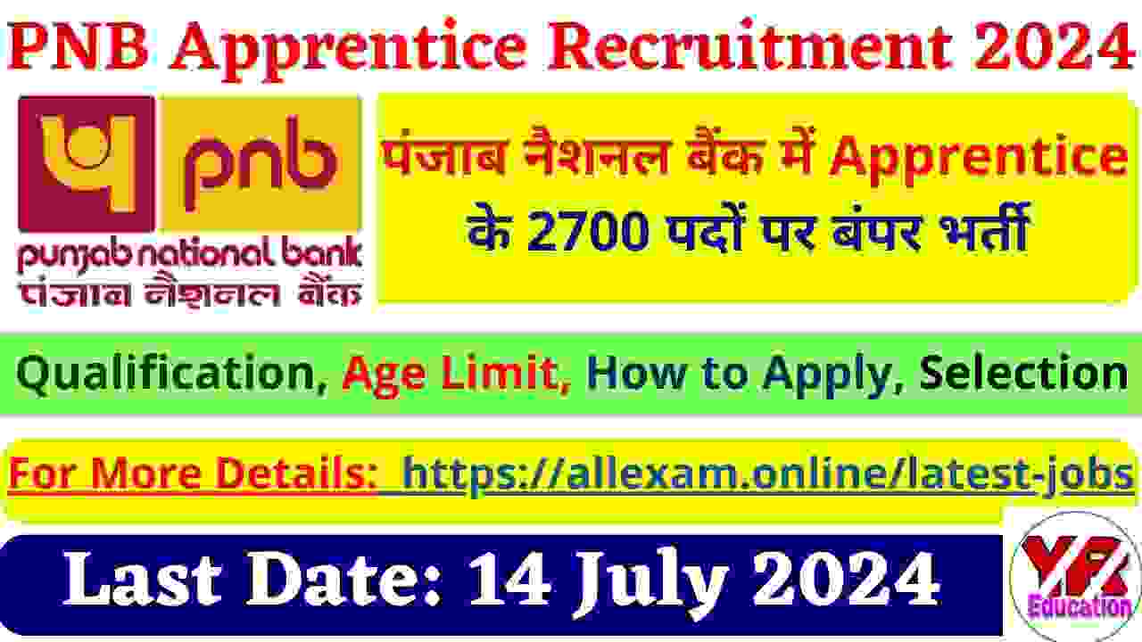 PNB Apprentice Recruitment 2024 State-wise Vacancies