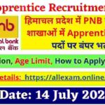 PNB Himachal Pradesh Apprentice Recruitment 2024 apply online for 83 Posts