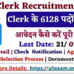 IBPS Clerk Recruitment 2024 Apply Online for 6128 Posts