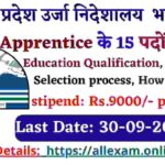 HP Directorate of Energy Apprentice Recruitment 2024 Apply for 15 Posts